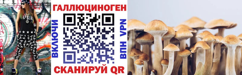 Псилоцибиновые грибы мицелий  гидра вход  Ельня 